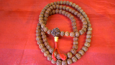 Medium Natural Rudraksha Seed Mala