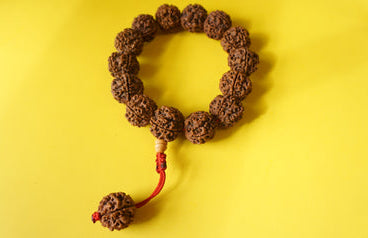 Adjustable, Large Beads Rudraksha Wrist Mala