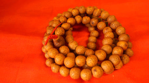 Extra Large Real Bodhi Seed Mala Bead