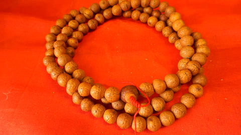 Extra Large Real Bodhi Seed Mala Bead