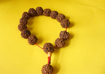 Adjustable, Large Beads Rudraksha Wrist Mala